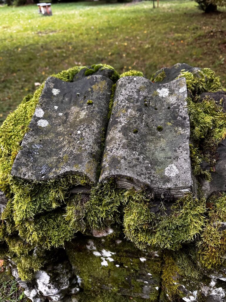 Handlung und praktische Ansätze